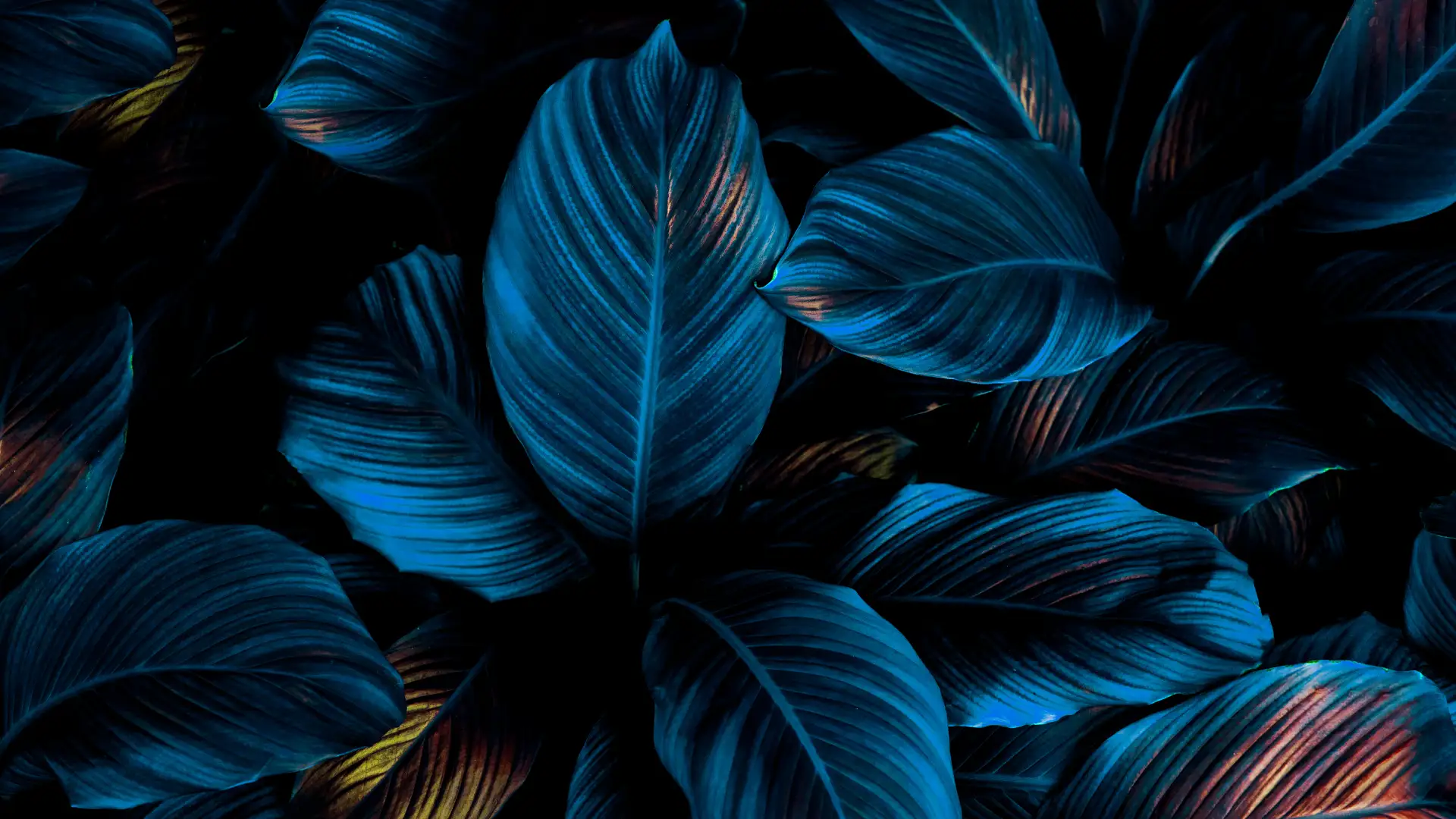 Блог за изработка на сайт