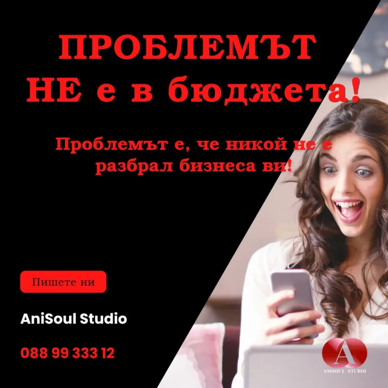 рекламен бюджет AniSoul Studio Digital Marketing Agency