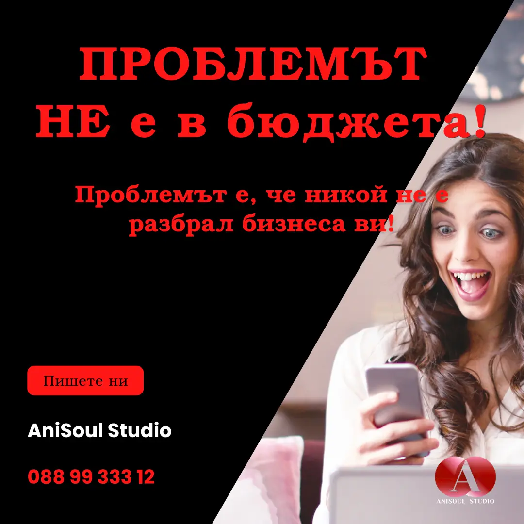 рекламен бюджет AniSoul Studio Digital Marketing Agency